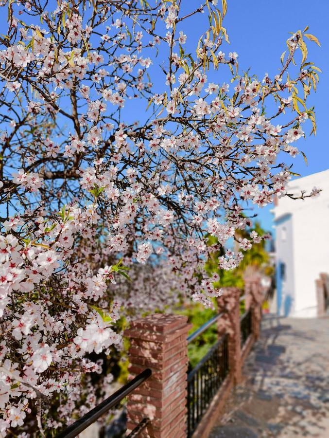 Modern, Bright And Comfortable Apartment With Shared Roof Terrace Canillas de Aceituno Exterior foto
